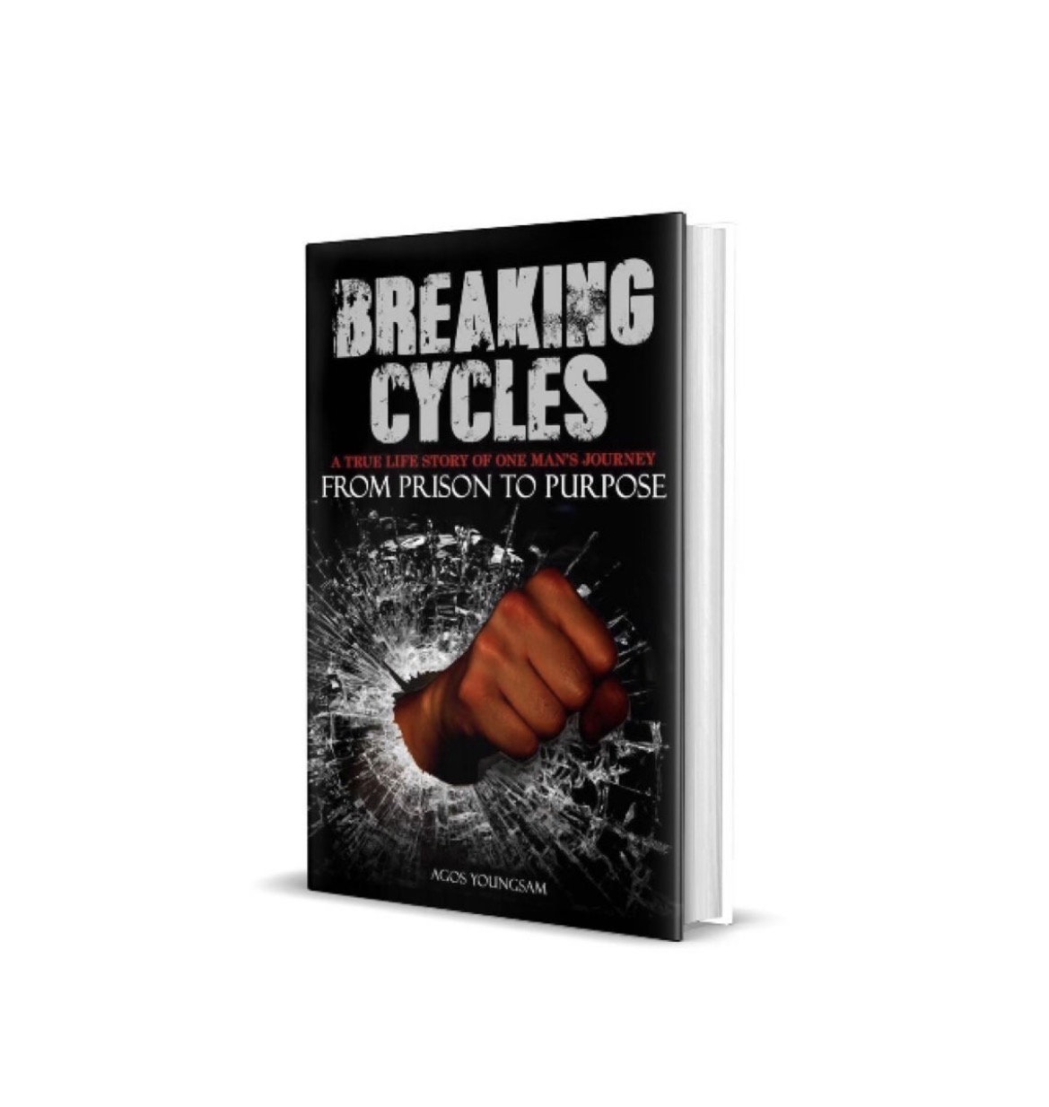 Breaking Cycles: From Prison to Purpose book cover